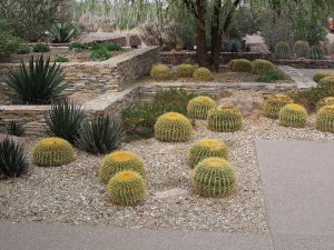 How to Design a Desert-Themed Yard | Pinoy ePlans